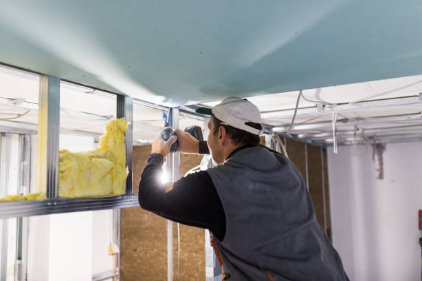 Best Attic Insulation Near Me  in Wyndham, VA