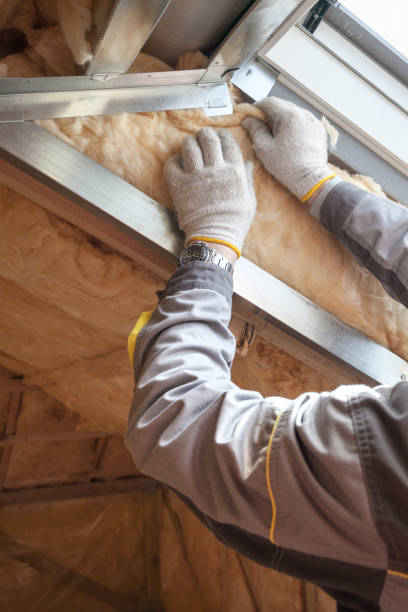 Best Home Insulation Services  in Wyndham, VA