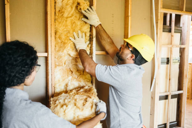 Best Insulation Inspection Services  in Wyndham, VA