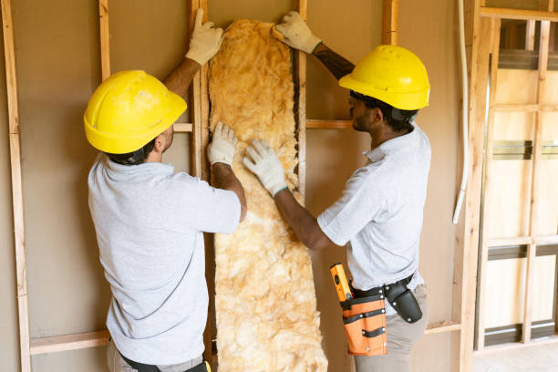 Insulation for Commercial Buildings in Wyndham, VA